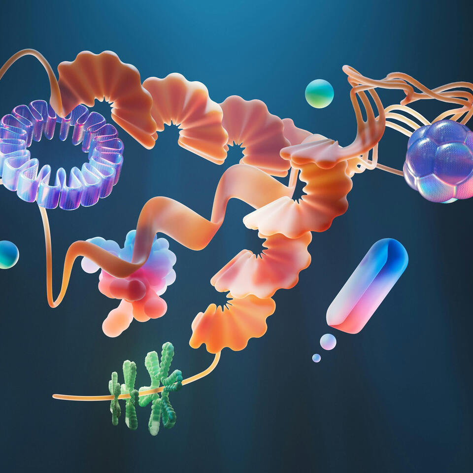 Mikrobiom